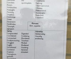 Here are all of the Tier 2 words Year 2 have discovered so far this year!