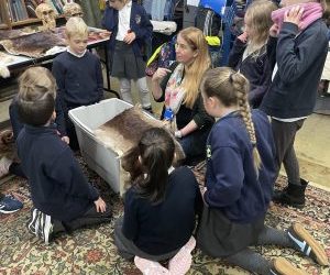 Trip to Torquay Museum