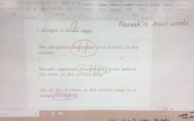 Our holistic approach to words.